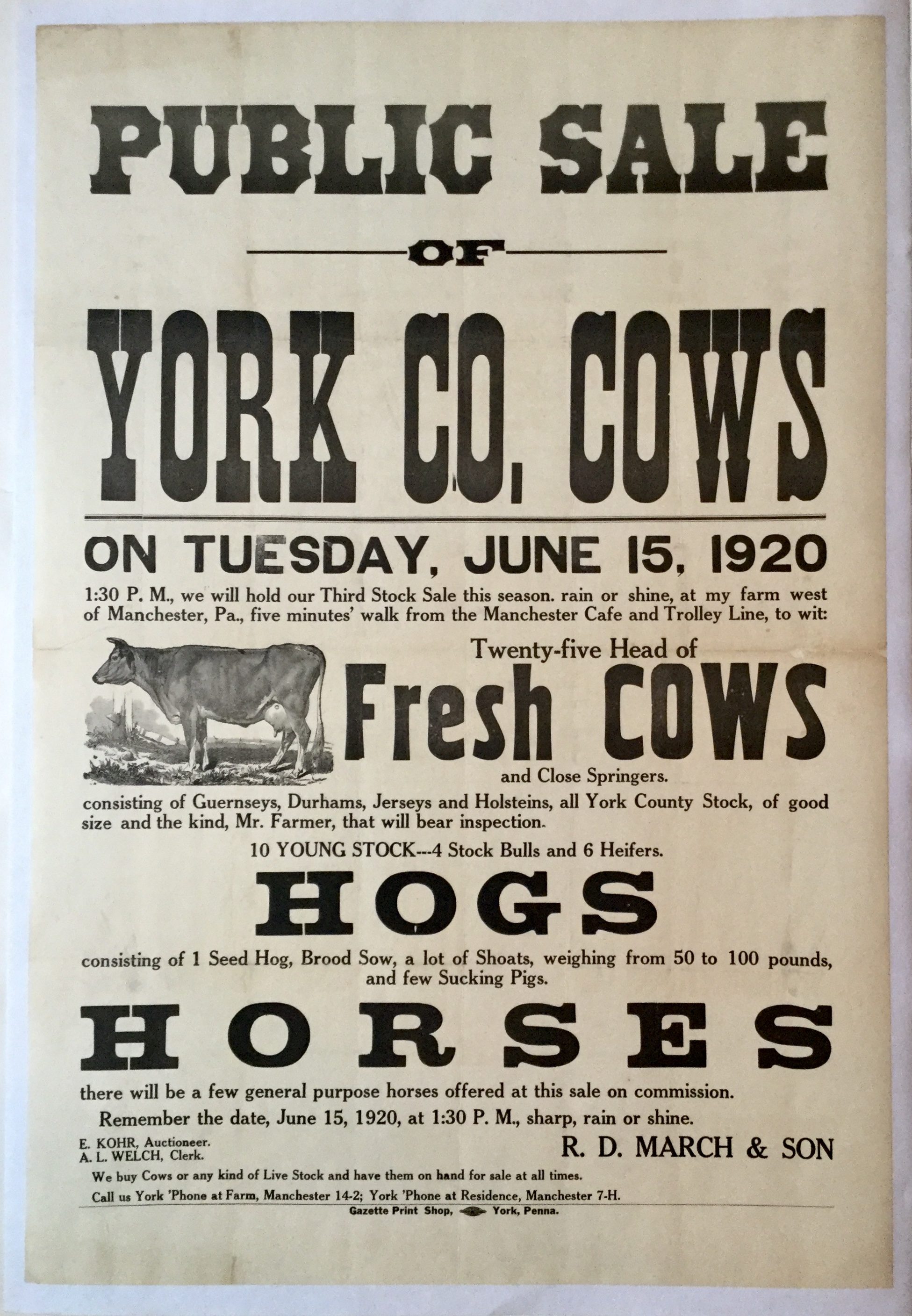YK0809 PUBLIC SALE YORK CO. COWS - HOGS - HORSES