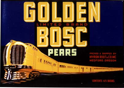L1335 GOLDEN BOSC PEARS