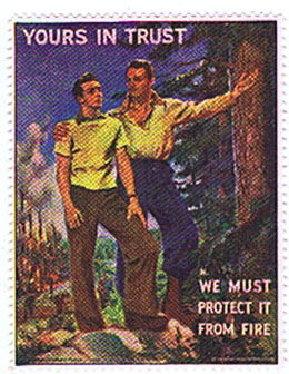DK357 YOURS IN TRUST  - WE MUST PROTECT IT FROM FIRE - STAMP