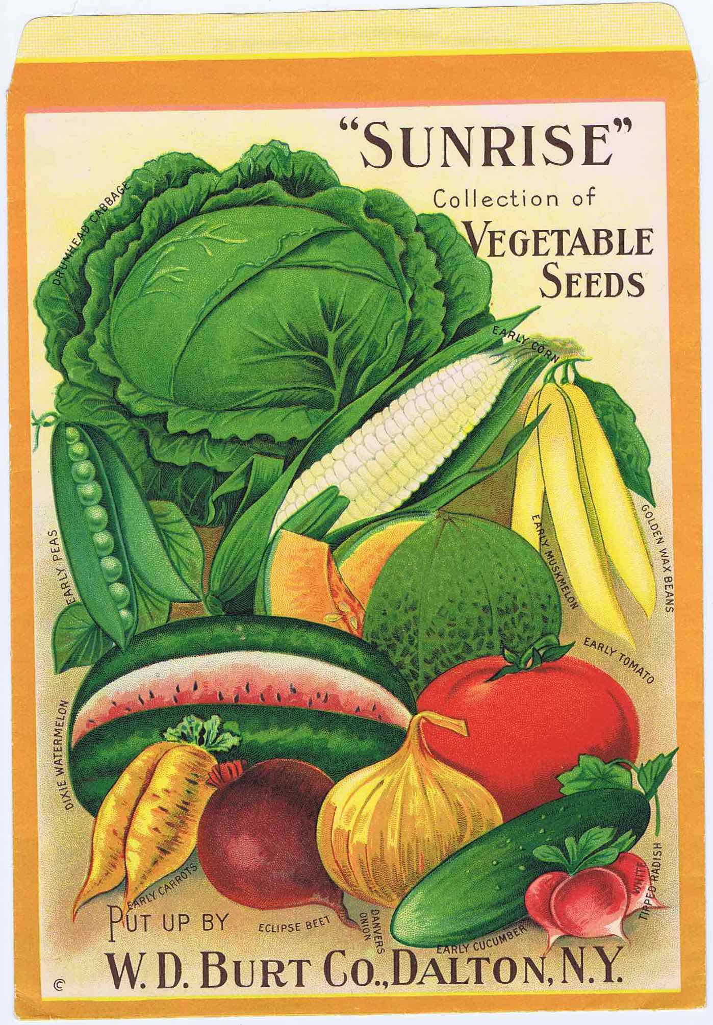 J338	“SUNRISE” COLLECTION OF VEGETABLE SEEDS