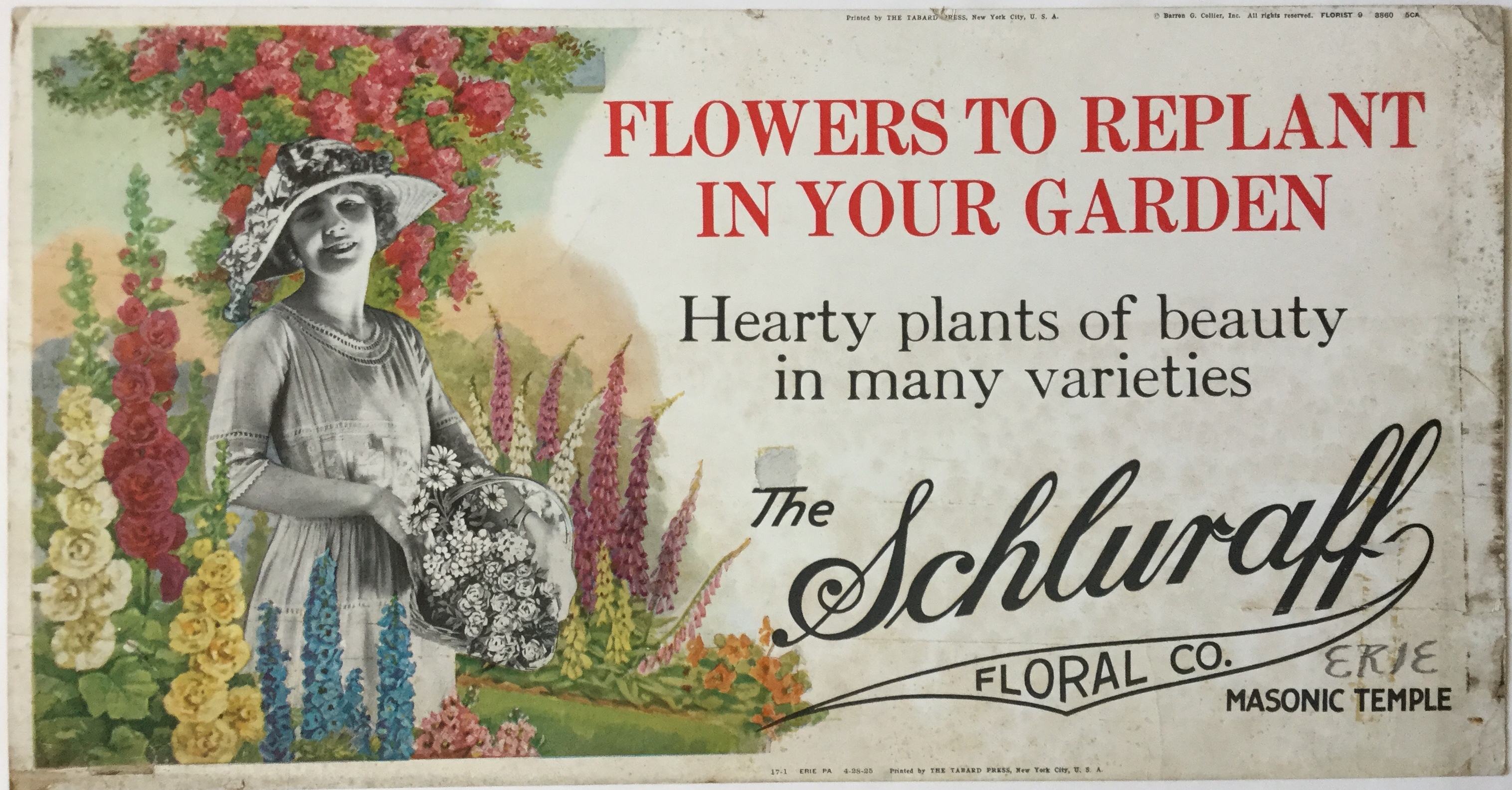 J394	FLOWERS TO REPLANT IN YOUR GARDEN - HARDY PLANTS OF BEAUTY IN MANY VARIETIES - SCHLURAFF FLORAL CO.