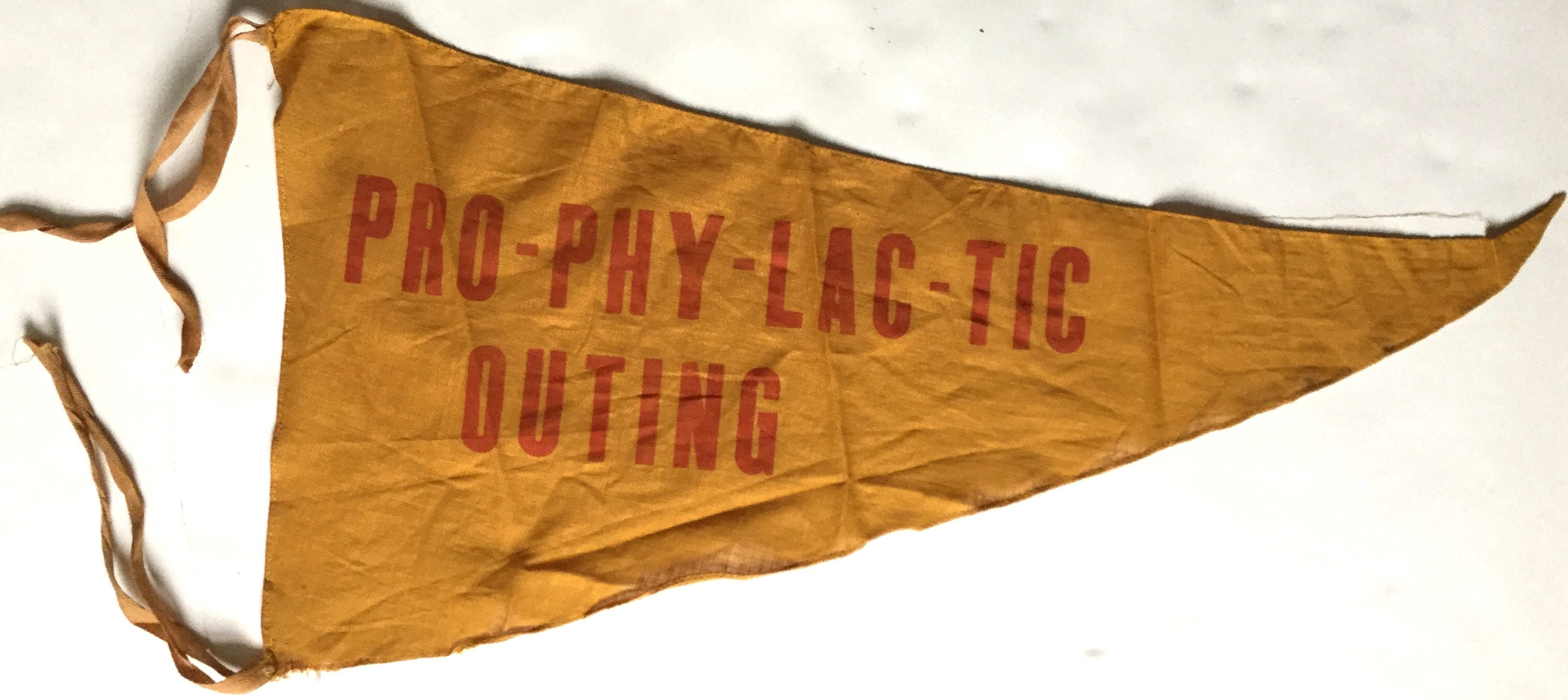 J520	PRO-PHY-LAC-TIC BANNER