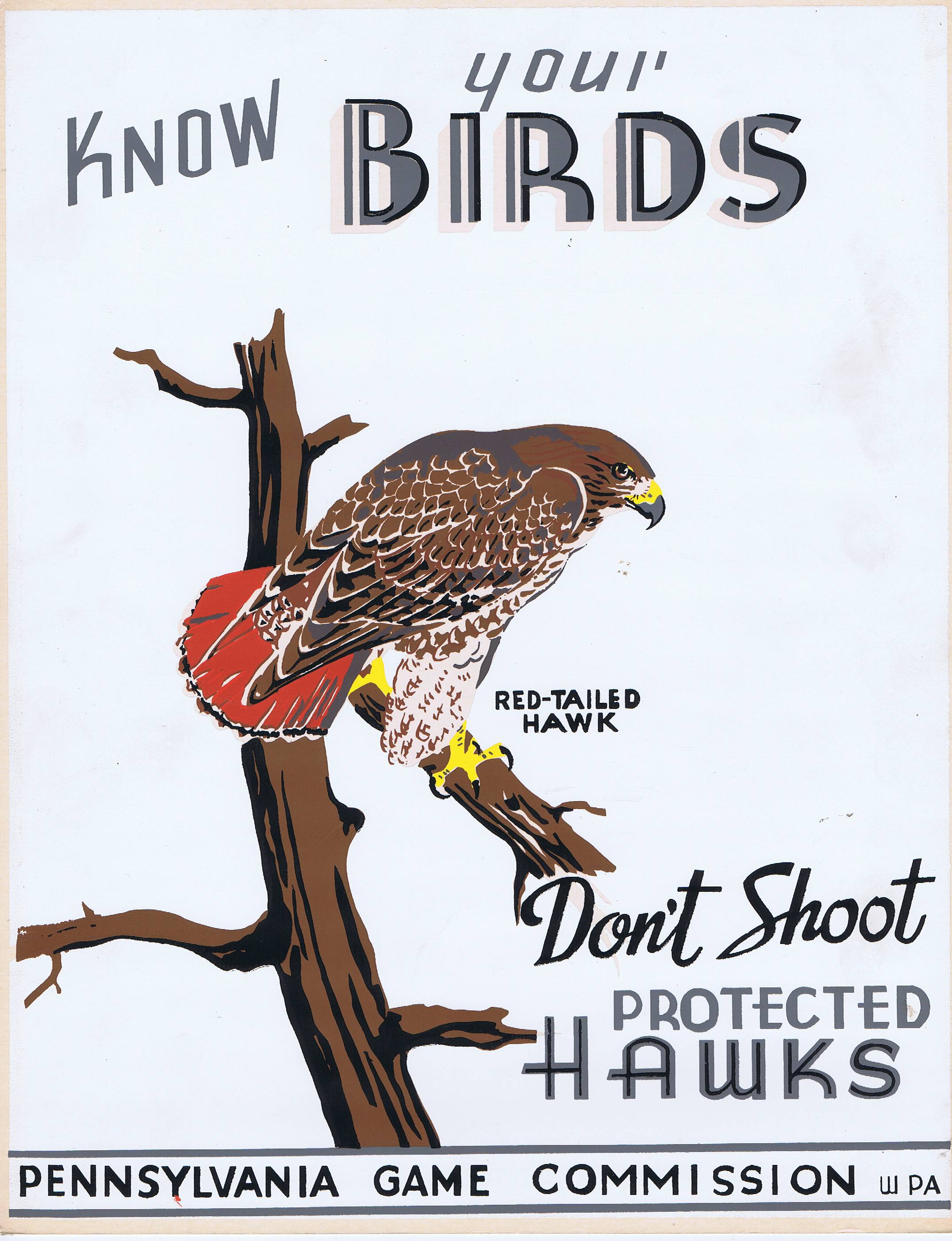 J915	KNOW YOUR BIRDS - DON’T SHOOT PROTECTED HAWKS - PENNSYLVANIA GAME COMMISSION WPA