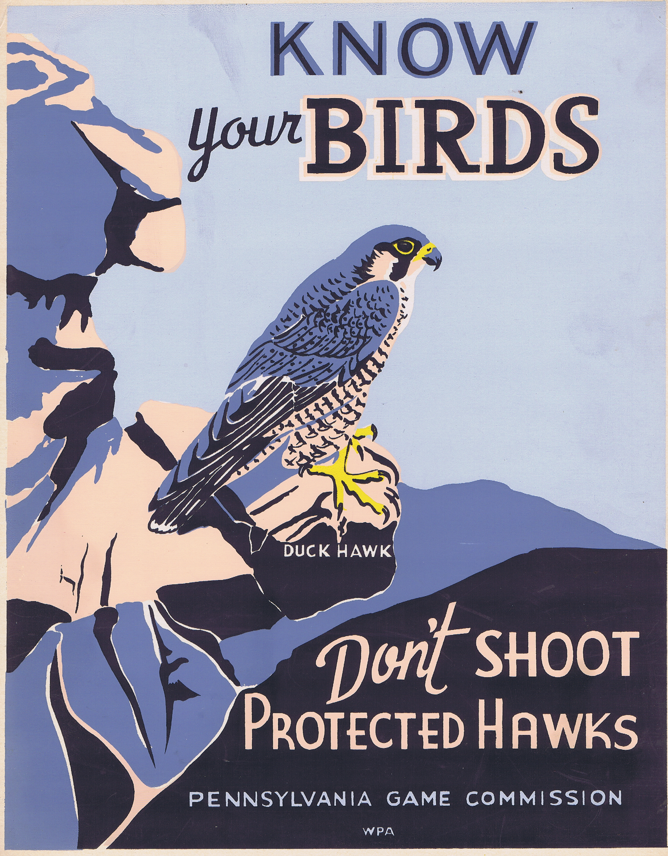 J916	KNOW YOUR BIRDS - DON’T SHOOT PROTECTED HAWKS - PENNSYLVANIA GAME COMMISSION WPA