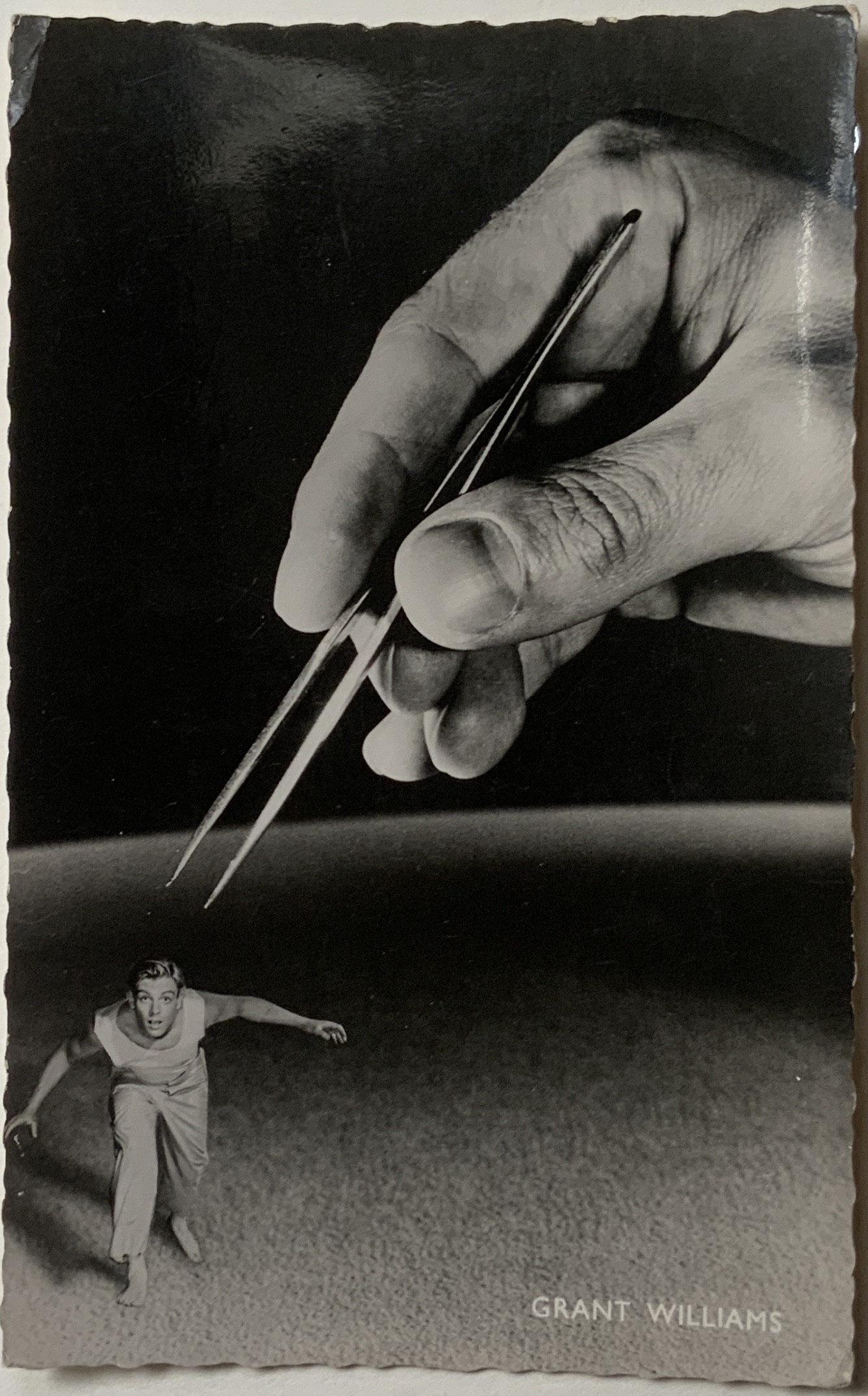 M419	GRANT WILLIAMS IN POSTCARD FOR “THE INCREDIBLE SHRINKING MAN” - 1957